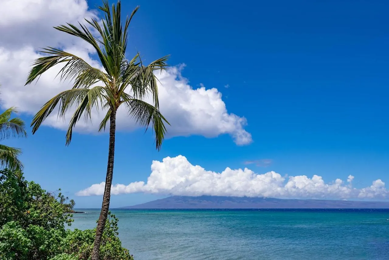 Sands Of Kahana 315 2Bd 2Ba Oceanfront Condo 0*,  USA