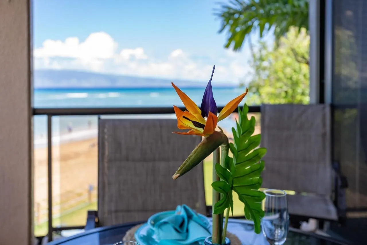 Sands Of Kahana 315 2Bd 2Ba Oceanfront Condo Apartment