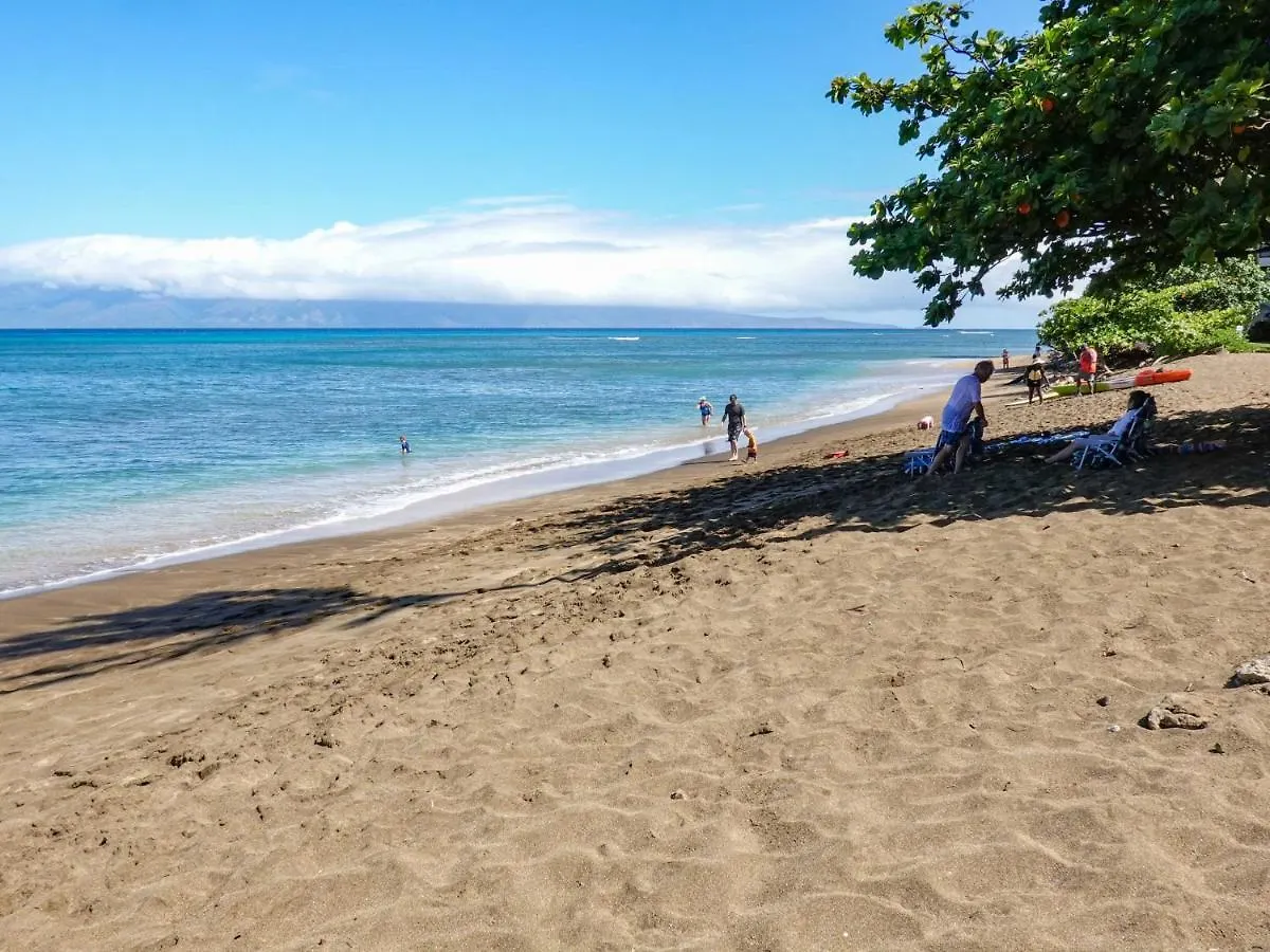 Apartment Sands Of Kahana 315 2Bd 2Ba Oceanfront Condo